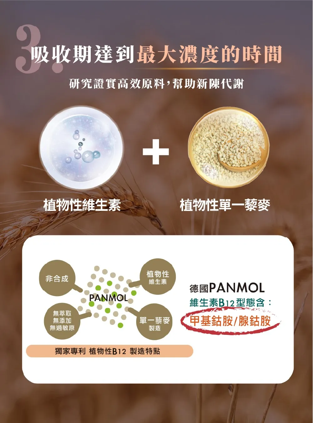 吸收期達到最大濃度的時間研究證實高效原料,幫助新陳代謝+植物性維生素植物性單一藜麥非合成植物性維生素德國PANMOLPANMOL維生素B12型態含:無萃取無添加單一藜麥甲基鈷胺腺鈷胺無過敏原製造獨家專利 植物性B12 製造特點