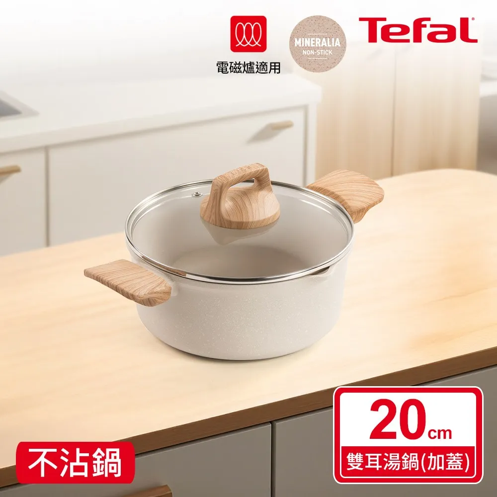 Tefal法國特福 暖暖系列20CM不沾雙耳湯鍋(加蓋)(適用電磁爐)