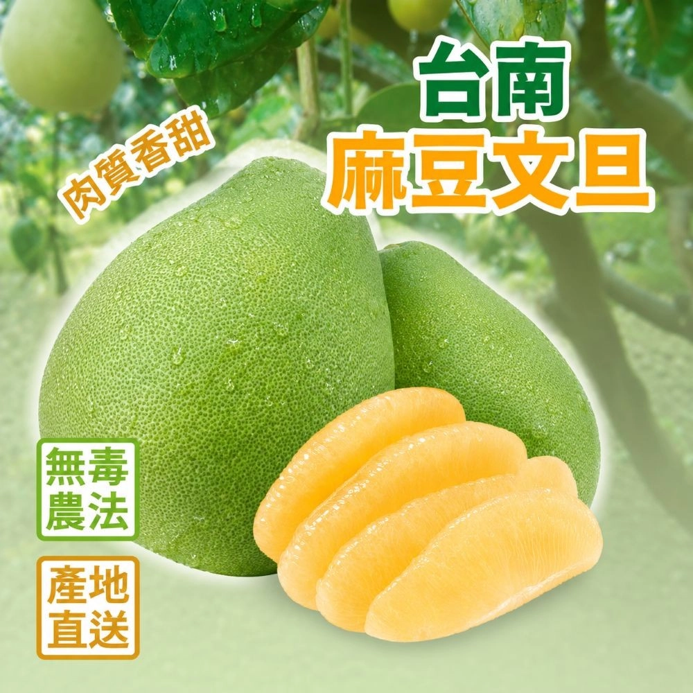 【小熊柚園】麻豆頂級文旦5台斤禮盒(約7-8顆)產銷履歷